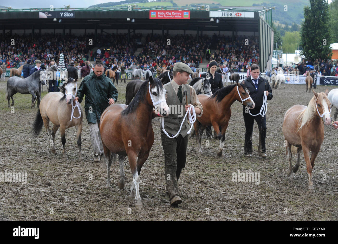 Conditions boueuses dans l'arène pour le Royal Welsh Show à Builth Wells, Powys. Banque D'Images