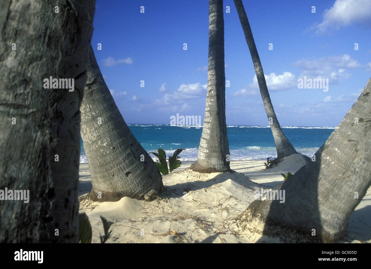 Une plage dans le village de Las Terrenas sur Samanaon en République Dominicaine dans la mer des Caraïbes en Amérique latine. Banque D'Images