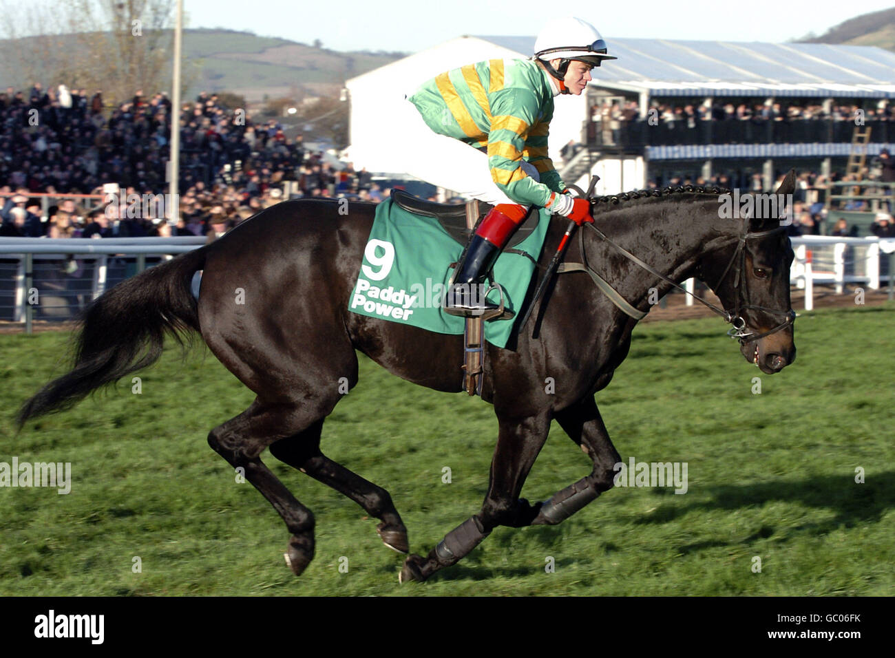 Jockey David Casey sur le terrain ball va à la poste pour La Paddy Power Gold Cup Steeple Chase Banque D'Images