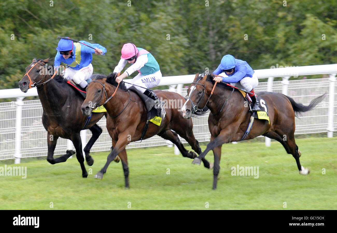 Les courses de chevaux - Goodwood Racecourse Banque D'Images