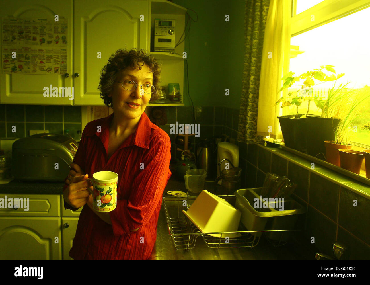 LES ÉDITEURS S'IL VOUS PLAÎT NOTER QUE LA COULEUR MOULÉE EST À PARTIR DES STORES SUR LES FENÊTRES QUI SONT NÉCESSAIRES POUR PROTÉGER BRENDA DE LA LUMIÈRE EXTÉRIEURE ET EST CORRECTE COMME ILLUSTRÉ. Brenda Ryder, qui a reçu un diagnostic de lupus, une condition sensible à la lumière, se tient à côté de la fenêtre de la cuisine à sa maison à Godshill sur l'île de Wight. Les fenêtres de sa maison sont recouvertes de stores de protection et d'ambre pour filtrer les UV et la lumière bleue qui peuvent déclencher des éruptions et des vomissements sombres qui peuvent durer des semaines. Banque D'Images