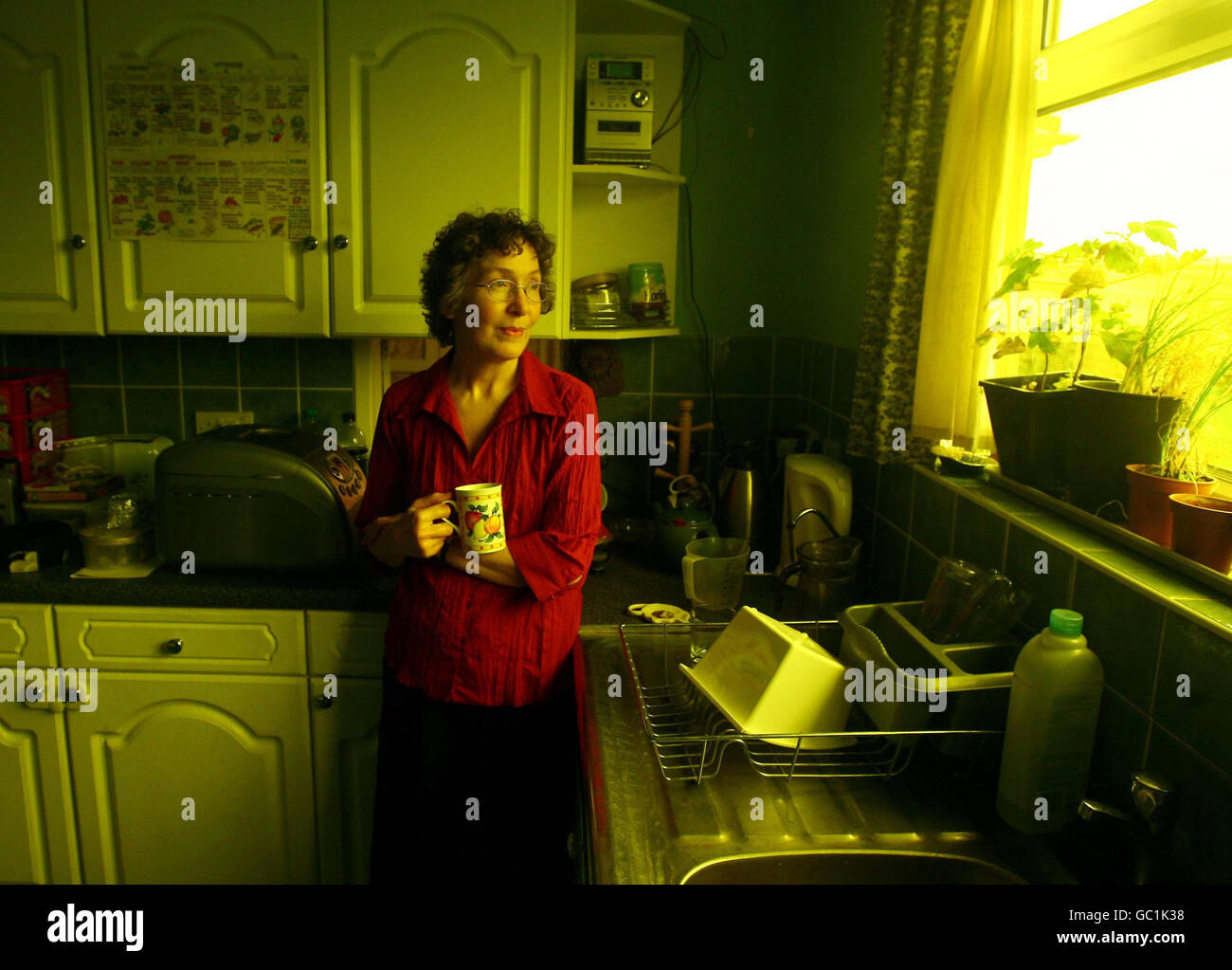 Brenda Ryder, qui a reçu un diagnostic de lupus, une condition sensible à la lumière, se tient à côté de la fenêtre de la cuisine à sa maison à Godshill sur l'île de Wight. Les fenêtres de sa maison sont recouvertes de stores de protection et d'ambre pour filtrer les UV et la lumière bleue qui peuvent déclencher des éruptions et des vomissements sombres qui peuvent durer des semaines. Banque D'Images