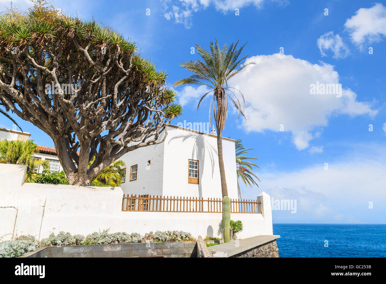 Maison blanche typique des Canaries sur falaise, avec en arrière-plan de l'océan et ciel magnifique, Puerto de la Cruz, Tenerife, Canary Island Banque D'Images