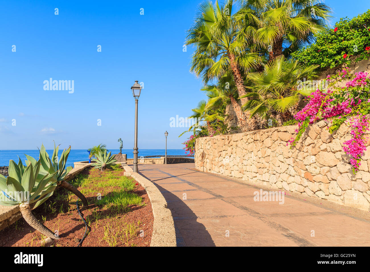 Promenade côtière avec des plantes tropicales dans seasise ville de Costa Adeje, Tenerife, Canaries, Espagne Banque D'Images