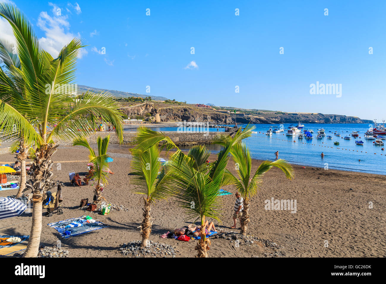 Plage de SAN JUAN, Ténérife - NOV 18, 2015 : palm trees on tropical beach à San Juan ville sur la côte de Tenerife, Canaries, Spa Banque D'Images