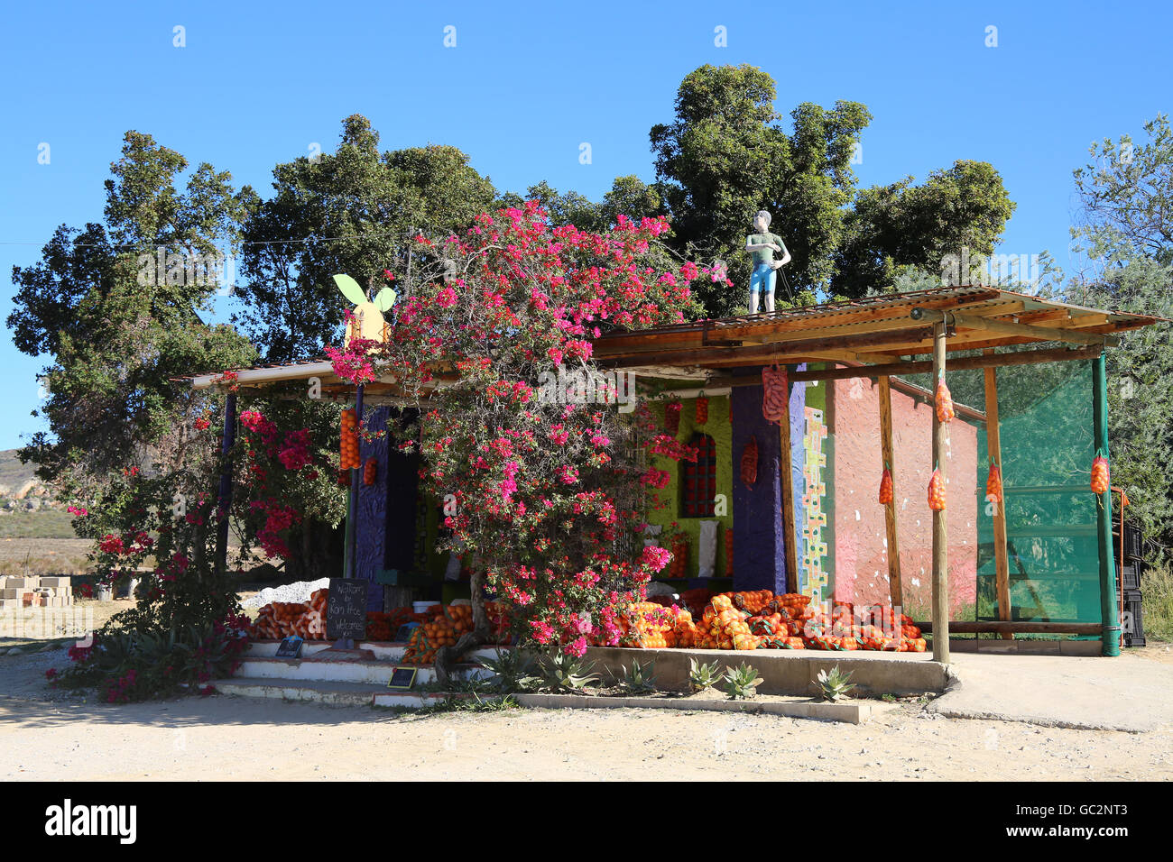 À un Bougainvillias farmstall au Namaqualand où les produits agricoles locaux tels que les fruits et légumes, sont en vente sur le côté de la route. Banque D'Images
