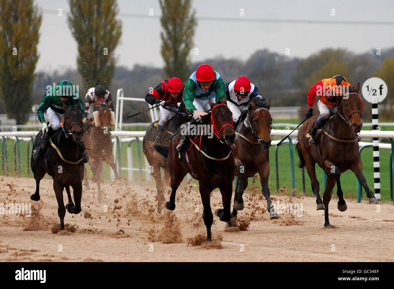 Les courses de chevaux - Southwell Racecourse Banque D'Images