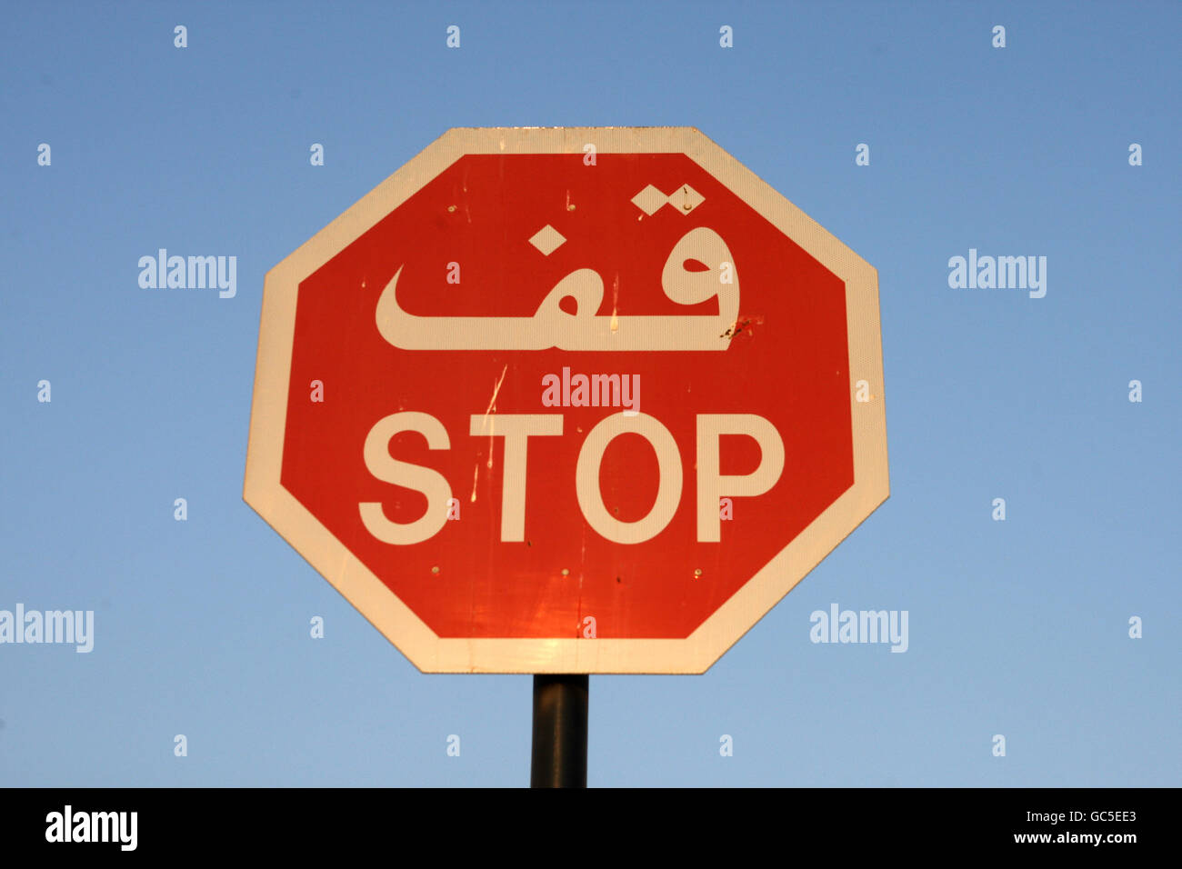 Un panneau « Stop » écrit en anglais et en arabe à Abu Dhabi, Émirats arabes Unis Banque D'Images