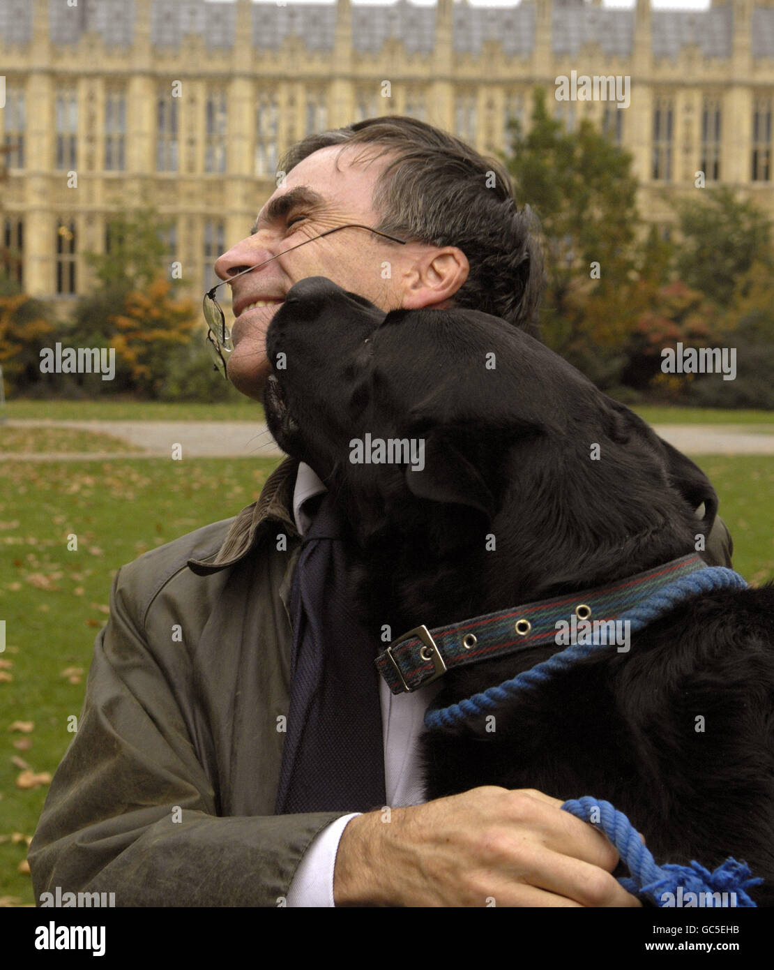 Buster, le chien du député conservateur Andrew Murrison léche son visage après leur deuxième place au concours du chien de l'année de Westminster. Banque D'Images