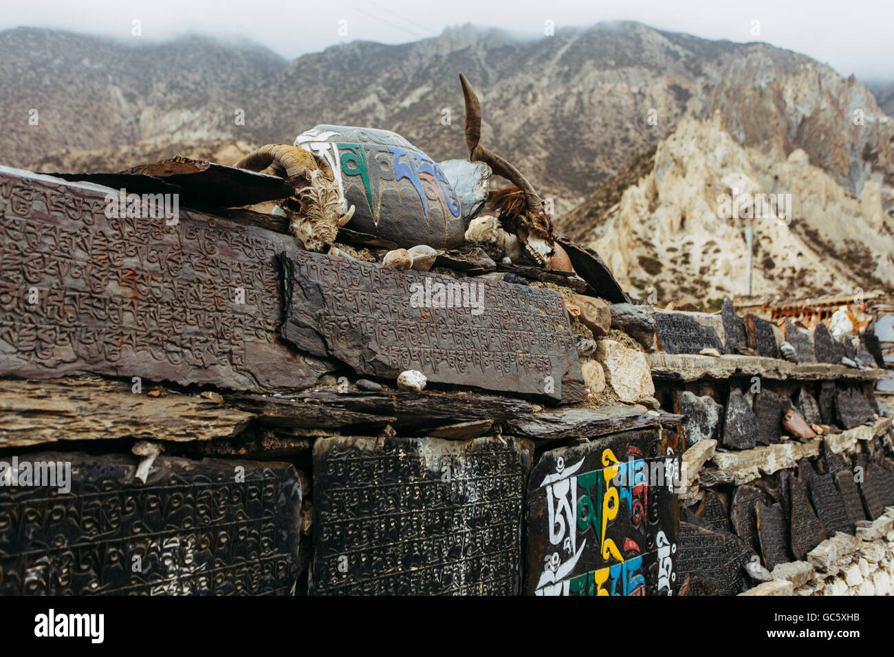 Écritures tibétain sur les pierres avec un crâne de yack morts dans l'Himalaya, Népal Banque D'Images