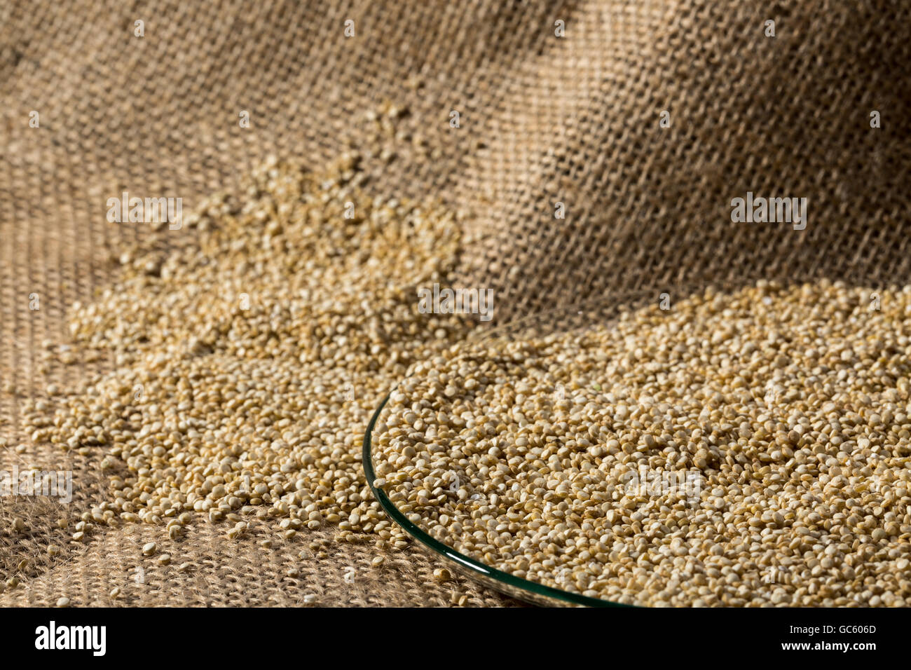 Les graines de quinoa sur plat en verre et le linge sac, de droit de fond. Banque D'Images
