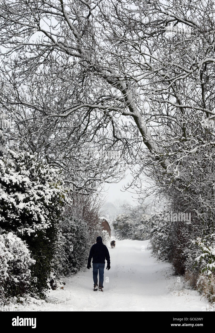 Un homme prend son chien pour une promenade dans le village de Norton près de Worcester, alors que de fortes chutes de neige se trouvent dans le Worcestershire. Banque D'Images