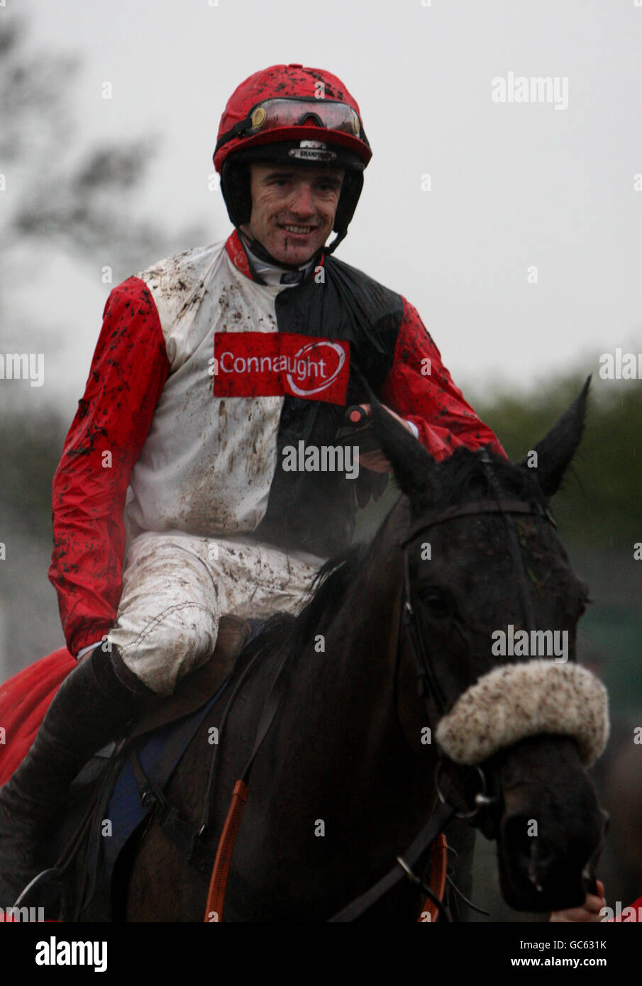 Les courses de chevaux - Le HEROS Charité Challow Hurdle Jour - Newbury Banque D'Images