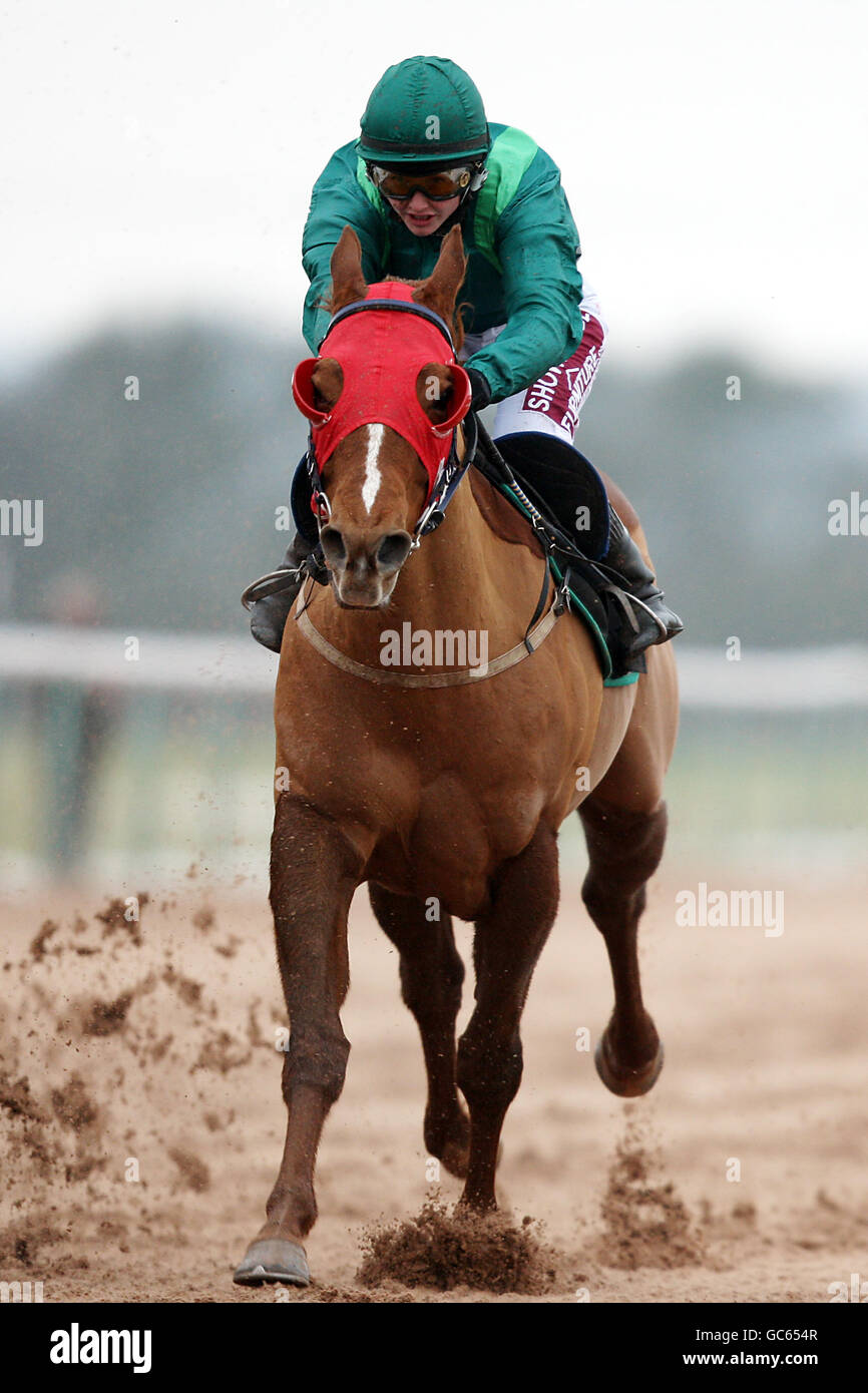 Godfrey Street, criée par Kelly Harrison pendant la coupe des nations africaines Bet - Betdaq vendre des enjeux Banque D'Images