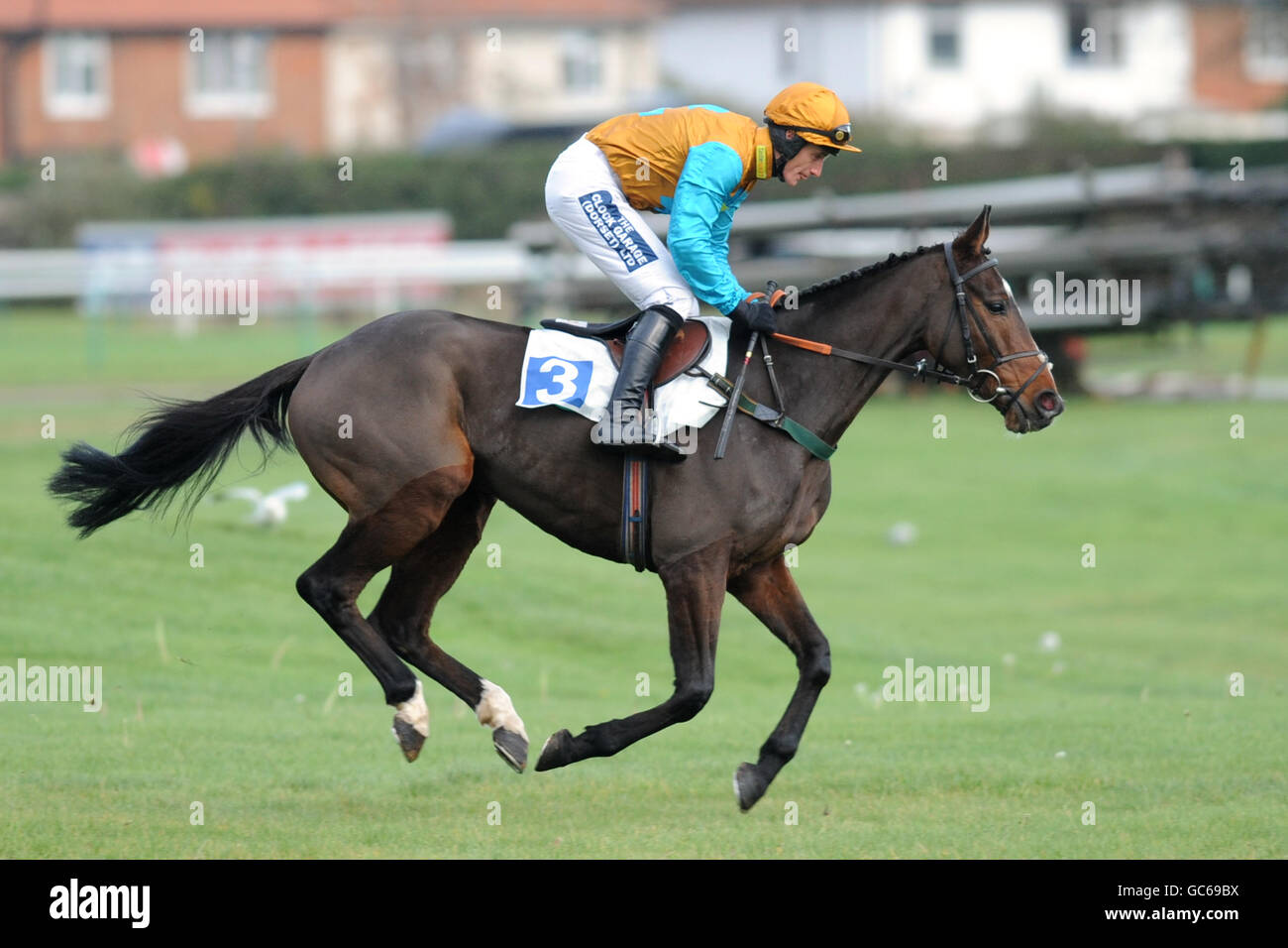 Bon vieux Thyme monté par Daryl Jacob va à la poste Pour l'obstacle des novices de John O'Gaunt Banque D'Images