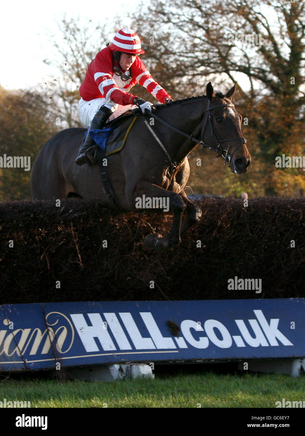 Le fond creux monté par David England pendant les courses UK handicap Steeple Chase Banque D'Images