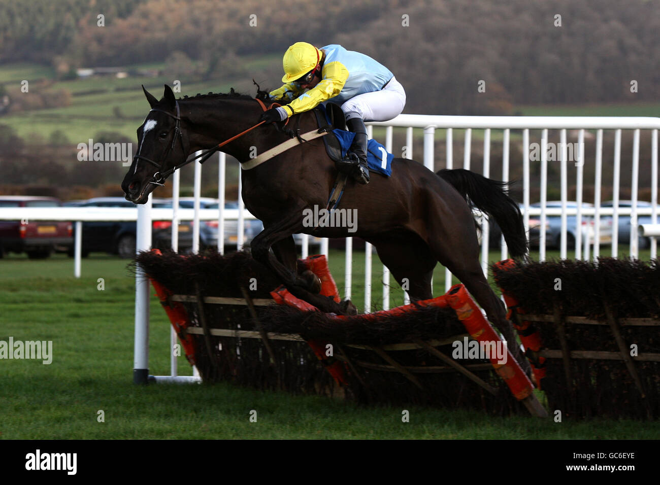 Courses hippiques - Hippodrome de Ludlow.Abbevillian criblé par Jimmy McCarthy pendant la course de haies du Fonds européen d'obtenteur National Hunt novices Banque D'Images