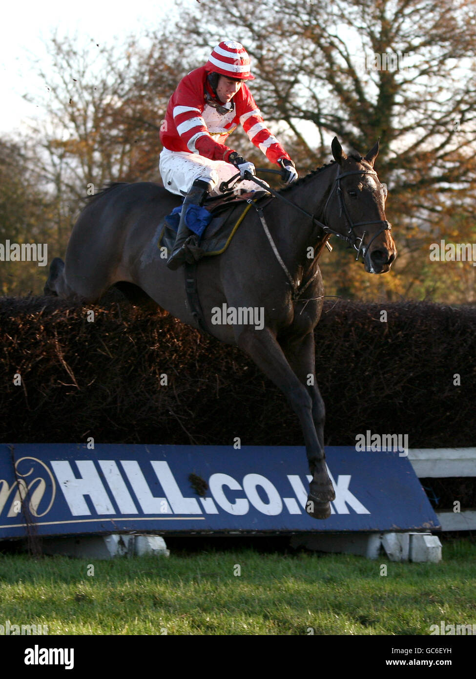 Courses hippiques - Hippodrome de Ludlow.The Hollow Bottom monté par David England pendant le Racing UK handicap Steeple Chase Banque D'Images