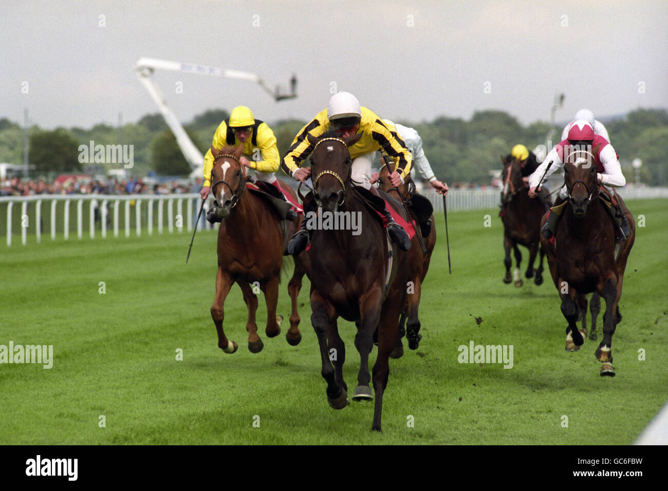 GEORGE DUFFIELD ET L'UTILISATEUR AMICAL FAVORI GAGNENT UNE VICTOIRE CONFORTABLE DANS COALITE ST.LEDGER À DONCASTER POUR GAGNER LA DERNIÈRE COURSE CLASSIQUE DE LA SAISON DE COURSE DE FLAT. Banque D'Images