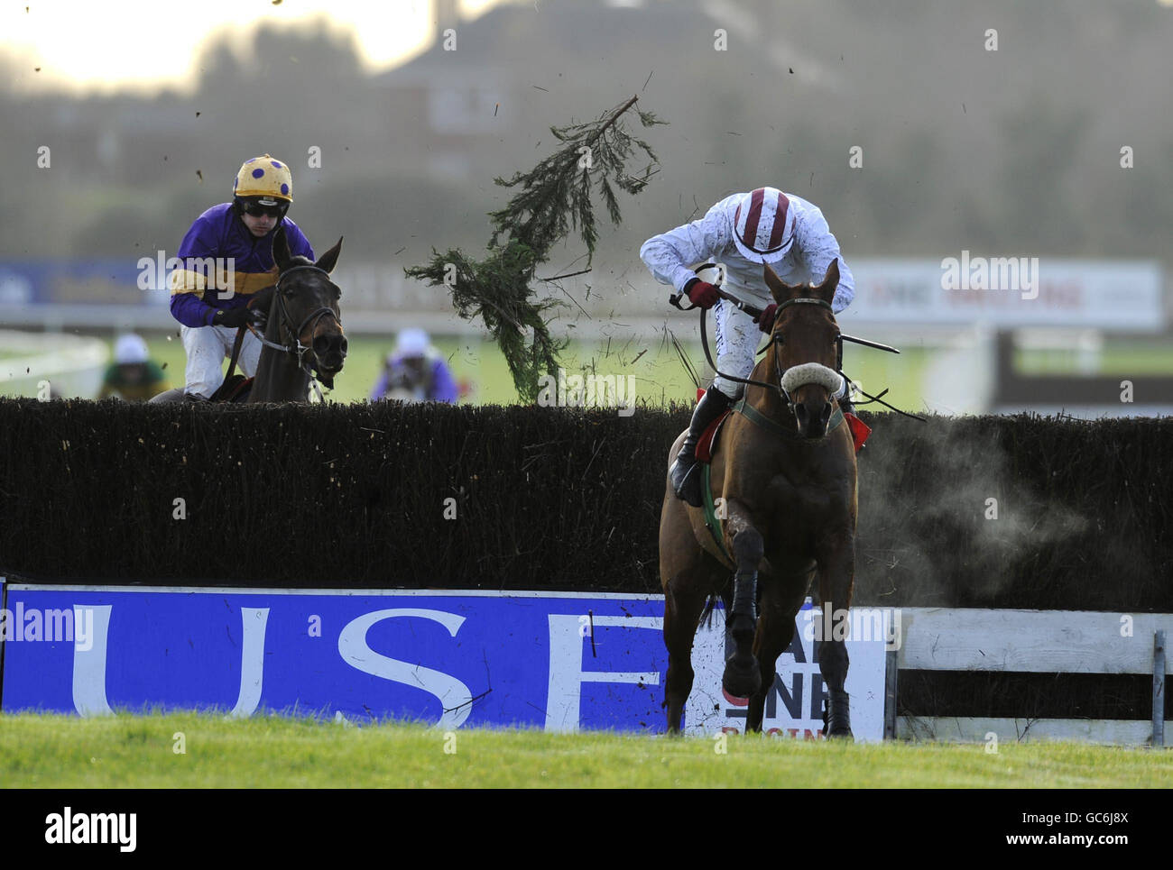 Horse Racing - Festival d'hiver - Réunion Hippodrome Fairyhouse Banque D'Images