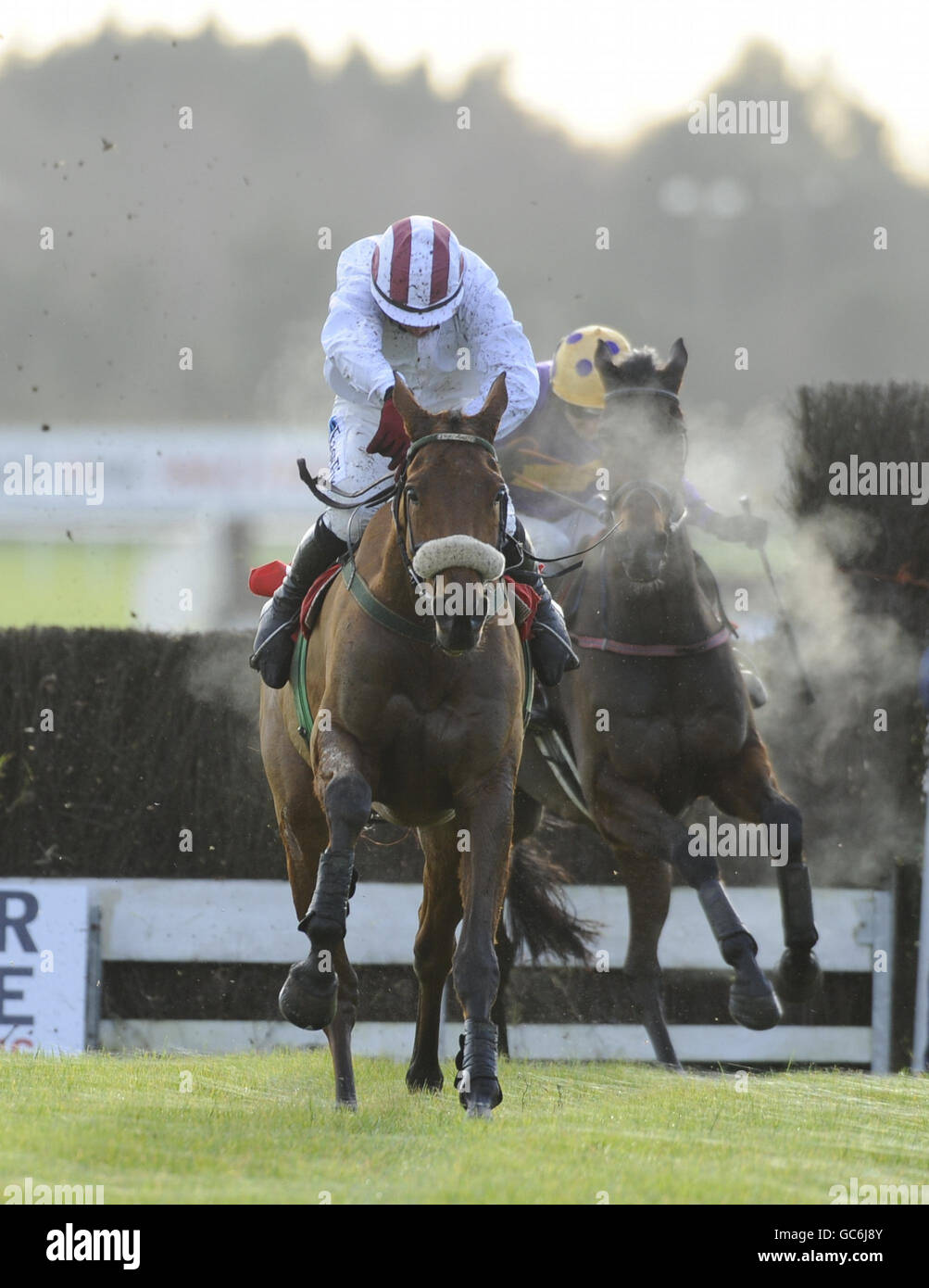 Pandorama, monté par DJ Condon, remporte le concours The Bar One Racing Drinmore Novice Steeplechase lors de la réunion du Festival d'hiver à l'hippodrome de Fairyhouse, en Irlande. Banque D'Images