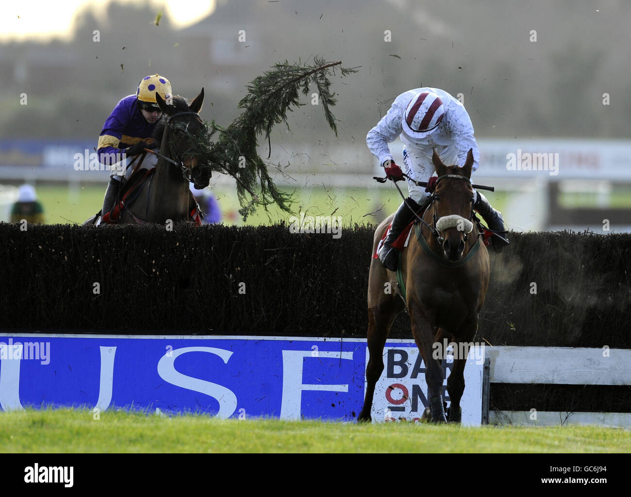 Pandorama, monté par DJ Condon, remporte le concours The Bar One Racing Drinmore Novice Steeplechase lors de la réunion du Festival d'hiver à l'hippodrome de Fairyhouse, en Irlande. Banque D'Images