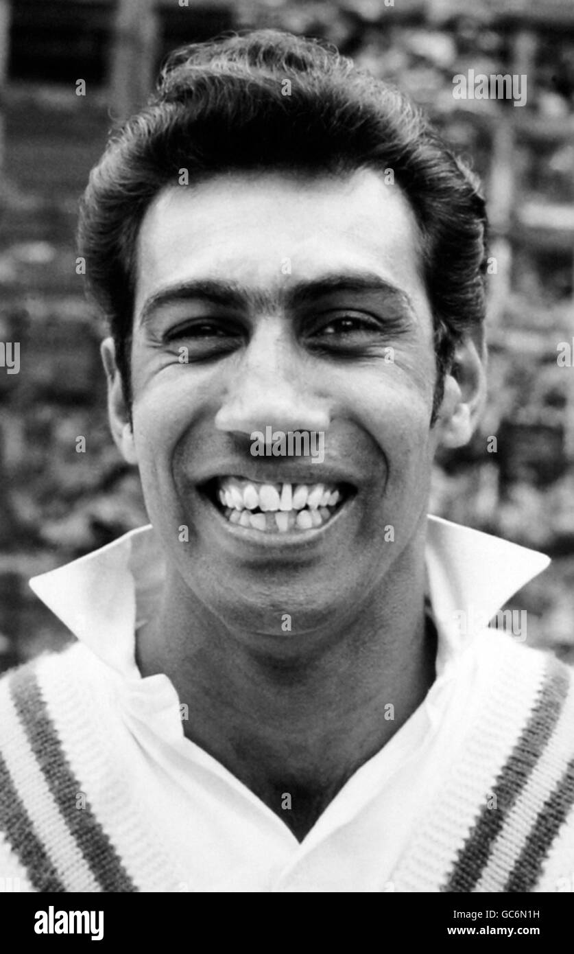 Portraits de Cricket Banque D'Images