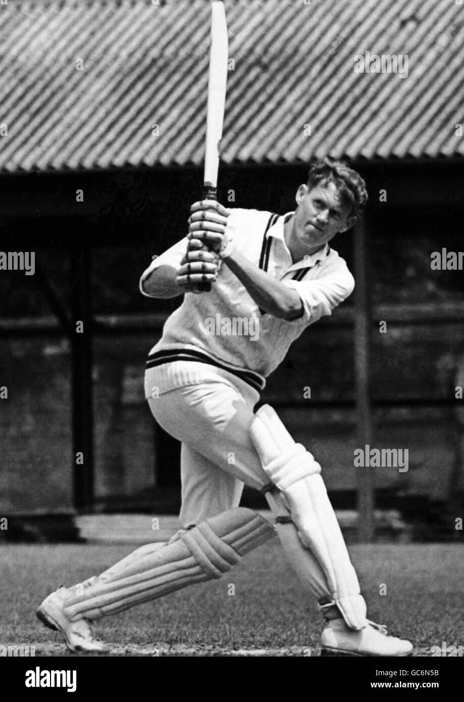 Portraits de Cricket Banque D'Images