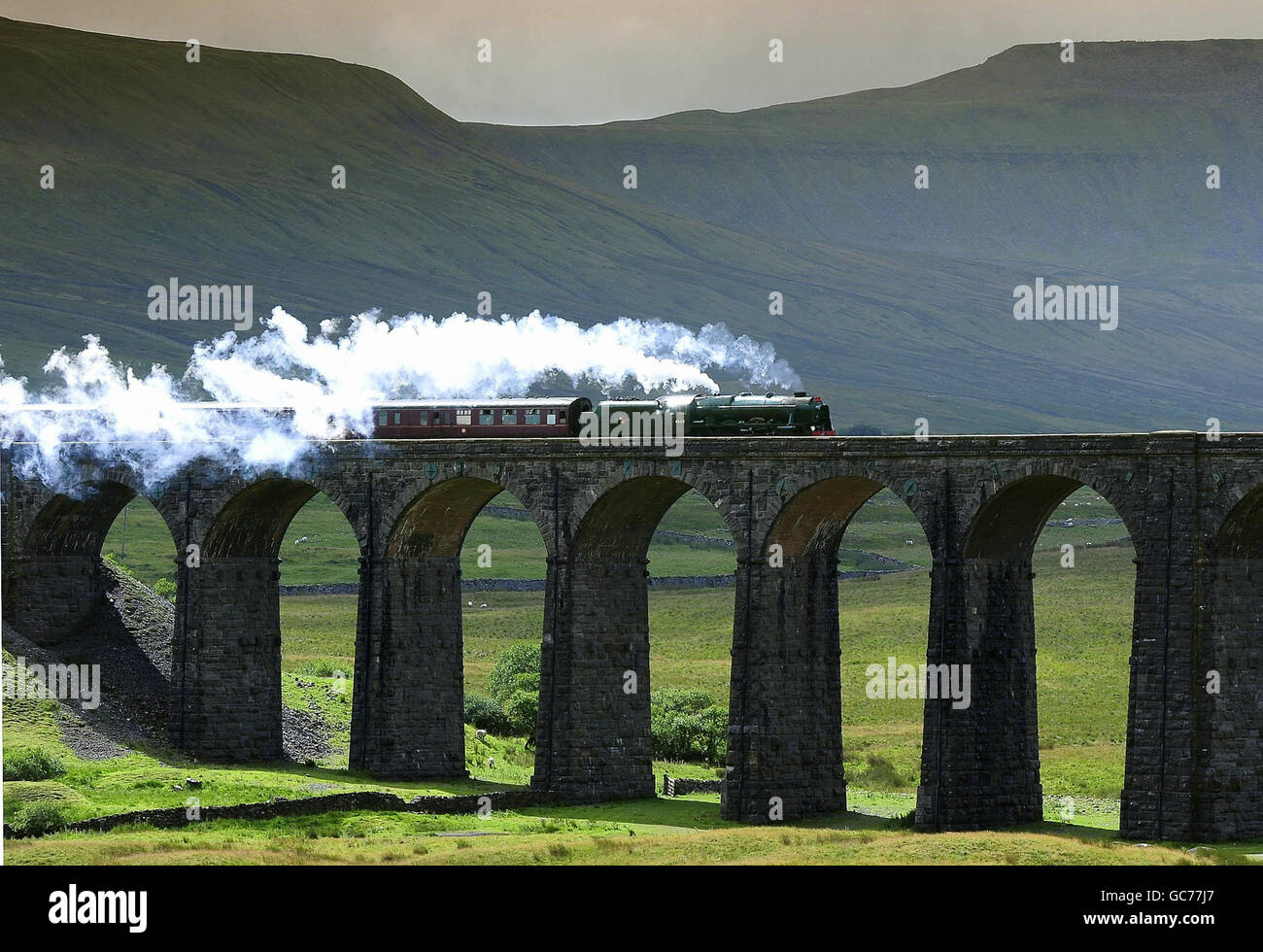 La locomotive Scots Guardsman traverse le Viaduc de Ribblehead au début de cette année le service Cumbrian Mountain Express sur la ligne de chemin de fer de Settle à Carlisle, qui a été reconnu comme le deuxième meilleur voyage ferroviaire spectaculaire dans le monde dans le réseau de nouvelles américain ABC les dix meilleurs grands trajets ferroviaires. Banque D'Images