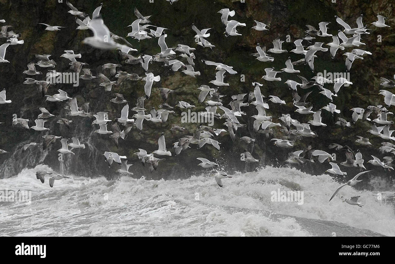 Tempêtes en Irlande Banque D'Images