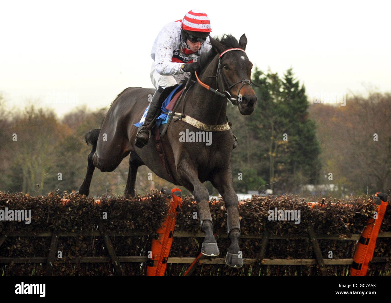 Manyriverstacross, monté par Wayne Hutchinson, remporte la course de haies des novices d'hiver betinternet.com pendant le vendredi de Tingle Creek à l'hippodrome de Sandown. Banque D'Images