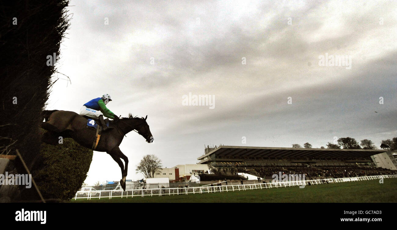 Les courses de chevaux - Tingle Creek vendredi - Sandown Park Banque D'Images