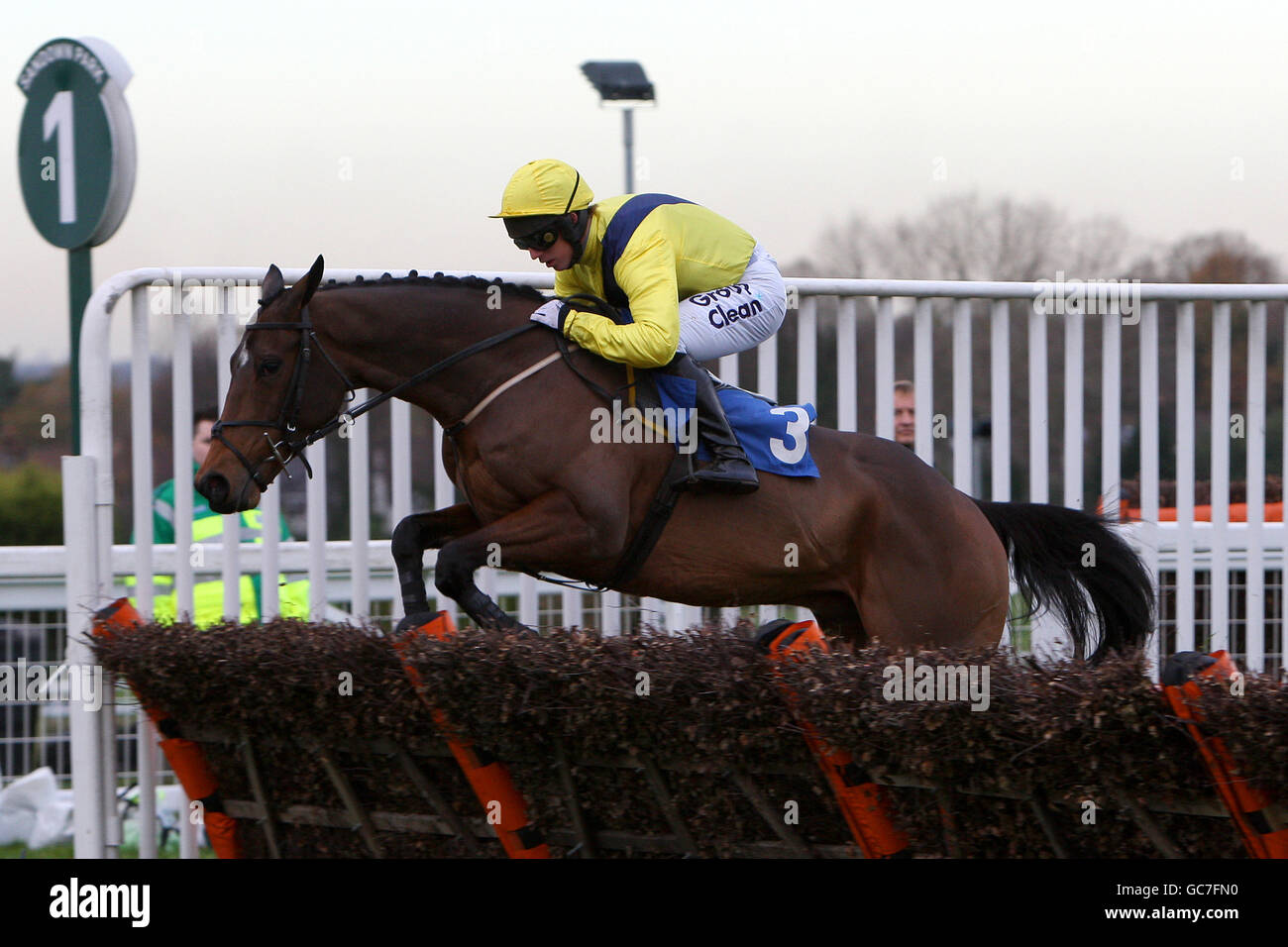 Les courses de chevaux - Tingle Creek vendredi - Sandown Park Banque D'Images