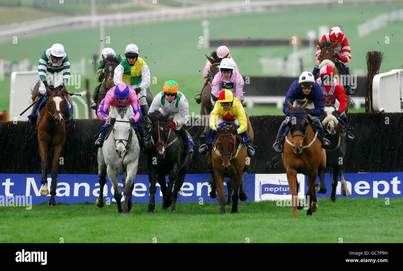 Courses hippiques - Boylesports International - première journée - Hippodrome de Cheltenham.Chevaux et cavaliers pendant le Neptune Investment Management Steeple Chase (handicap) Banque D'Images