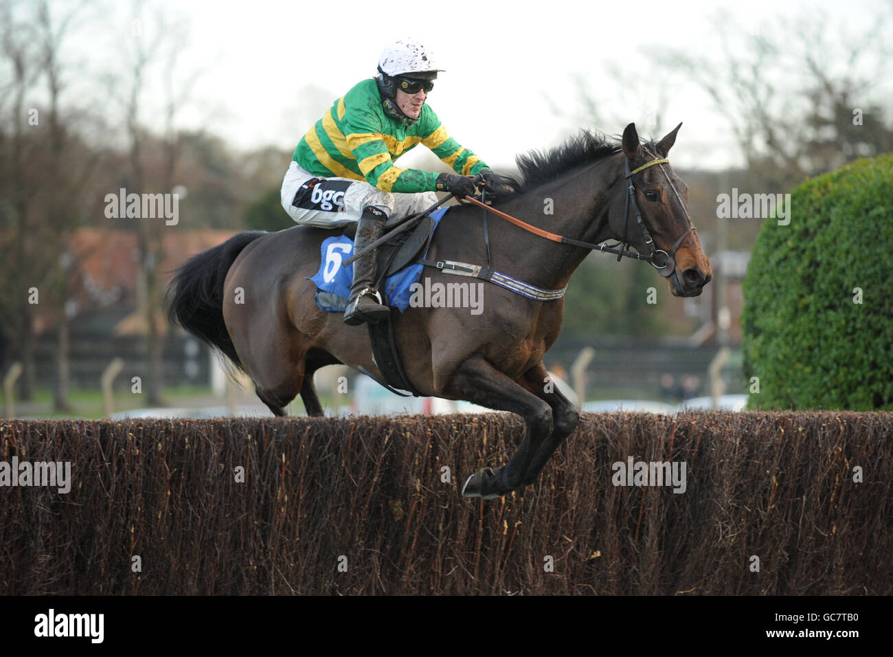 Les courses de chevaux - Tingle Creek vendredi - Sandown Park Banque D'Images