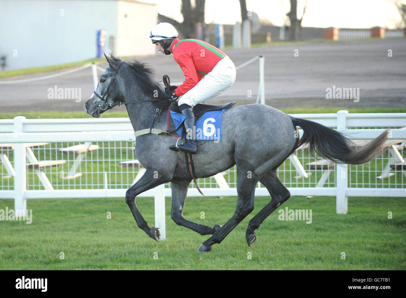 Troubletimestwo, monté par Wayne Hutchinson, est en poste pour l'obstacle des jeunes novices formulawine.co.uk pendant le vendredi de Tingle Creek à l'hippodrome de Sandown Banque D'Images