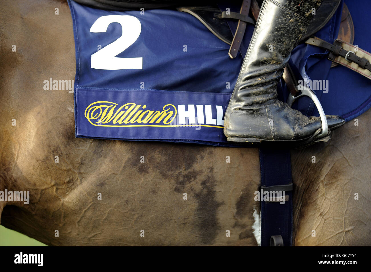 Les courses de chevaux - William Hill Winter Festival 2009 - Jour 1 - Kempton Park Racecourse Banque D'Images