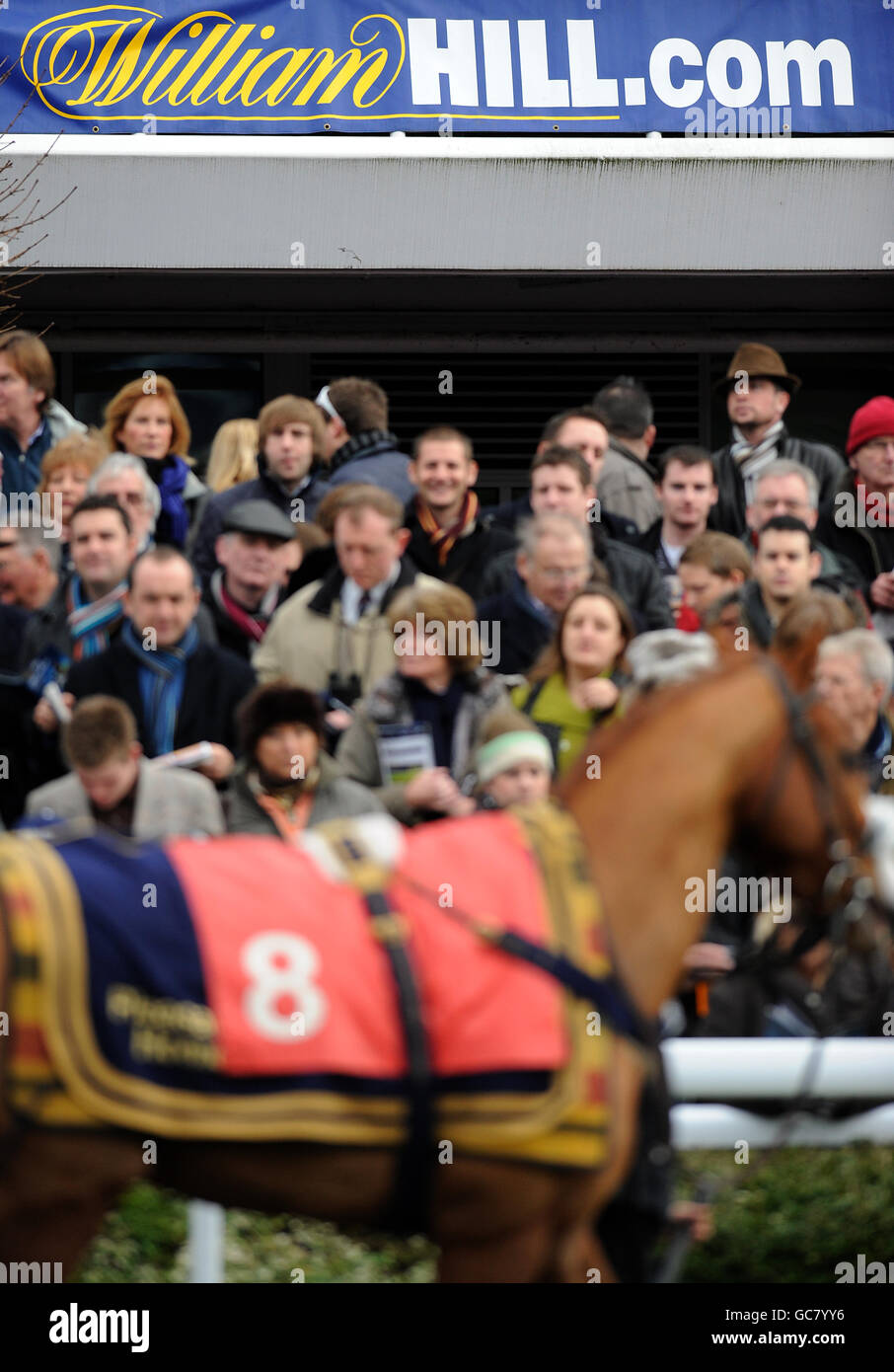 Les courses de chevaux - William Hill Winter Festival 2009 - Jour 1 - Kempton Park Racecourse Banque D'Images