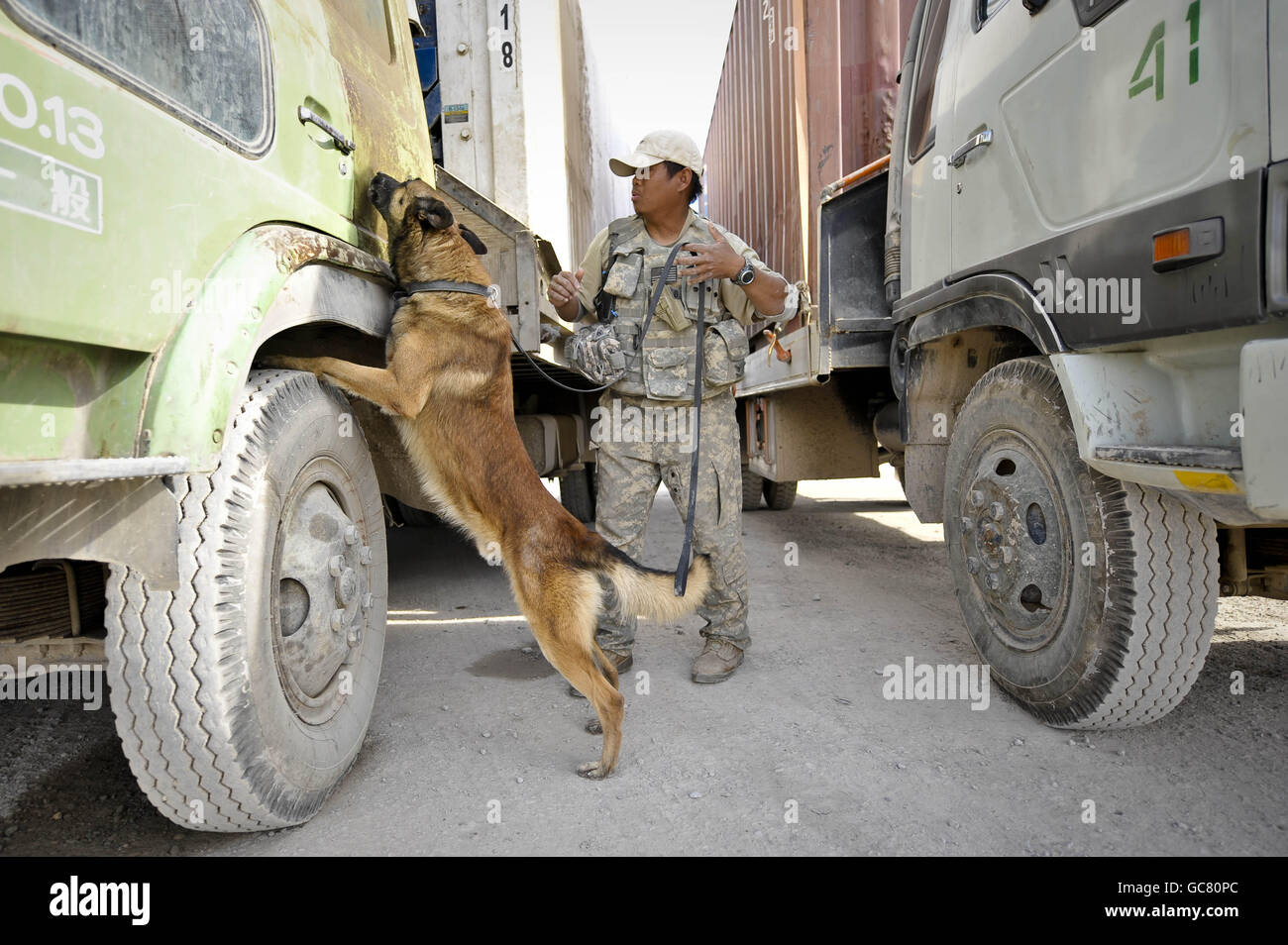 Braum le chien belge de détection de la bombe malinois encourt des camions afghans avec son maître Adel Briones près d'un point de contrôle de véhicule sur l'aérodrome de Kandahar, province de Kandahar, Afghanistan. Banque D'Images