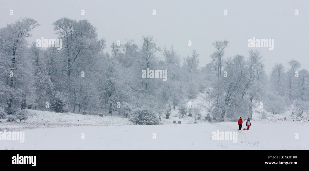 Les enfants tirent des luges à travers Knole Park, Sevenoaks, Kent, alors qu'une vague de neige fraîche pendant la nuit apportait une nouvelle misère aux voyageurs. Banque D'Images