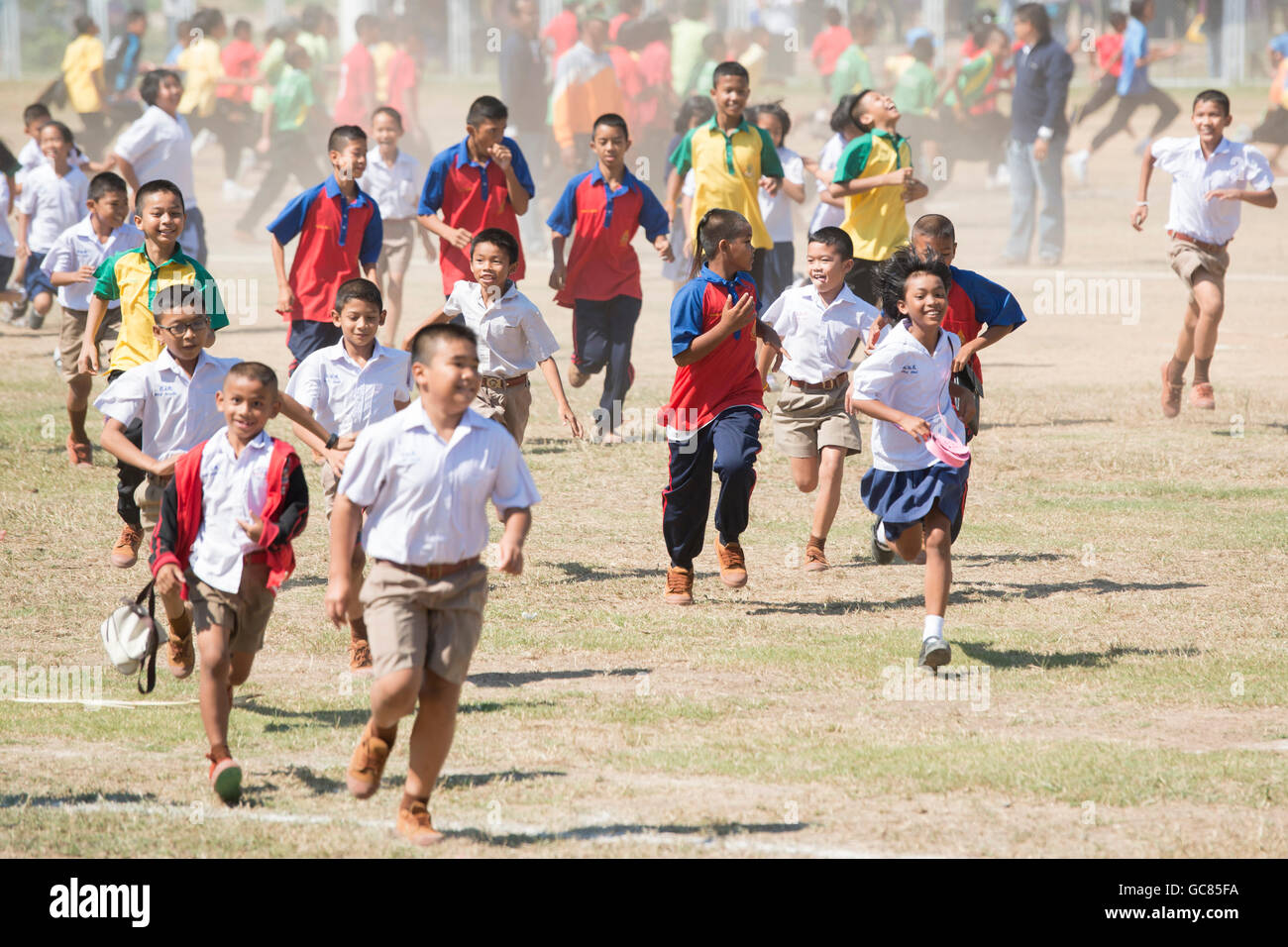 À l'éléphant école childern Round-up Festival dans la ville de Surin, dans le nord-est de la Thaïlande en Southeastasia. Banque D'Images