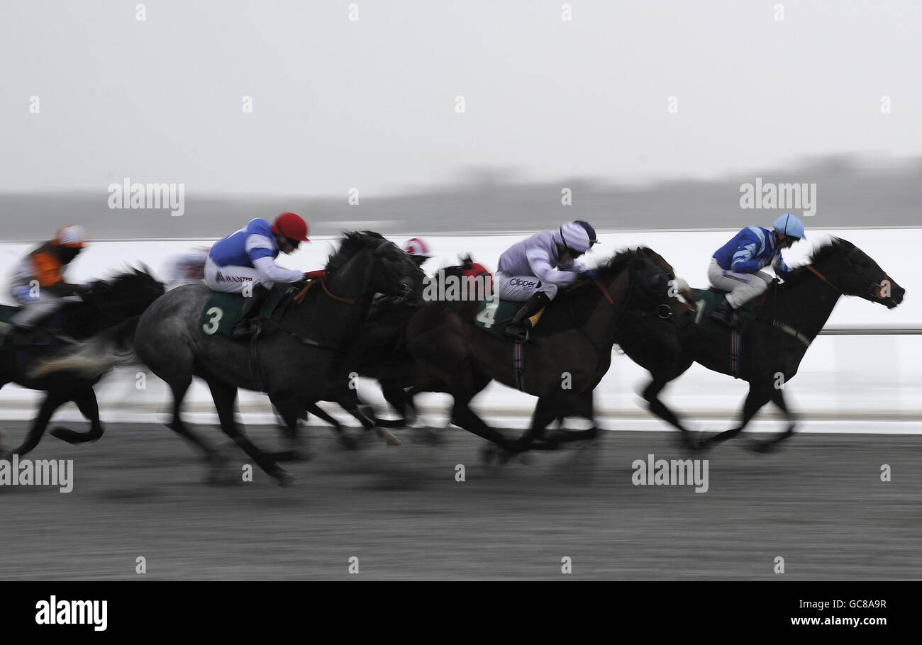 Les coureurs se sont mis en course vers l'arrivée de Betdaq sur 0800 178 1221 handicap à l'hippodrome de Lingfield. Banque D'Images