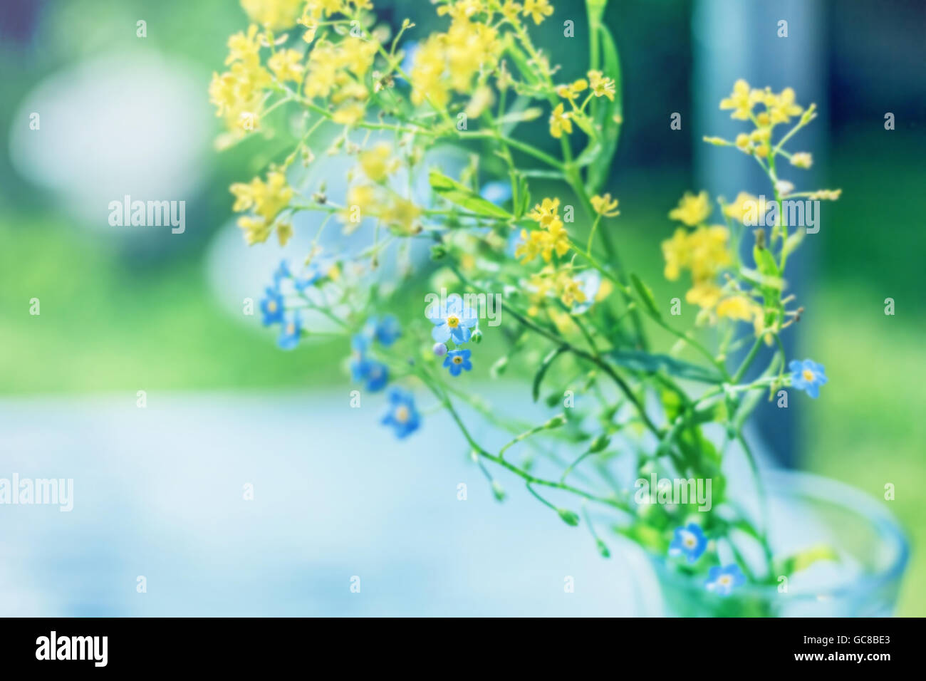 La beauté de l'été offres bouquet avec forget-me-nots et peu de fleurs jaunes Banque D'Images