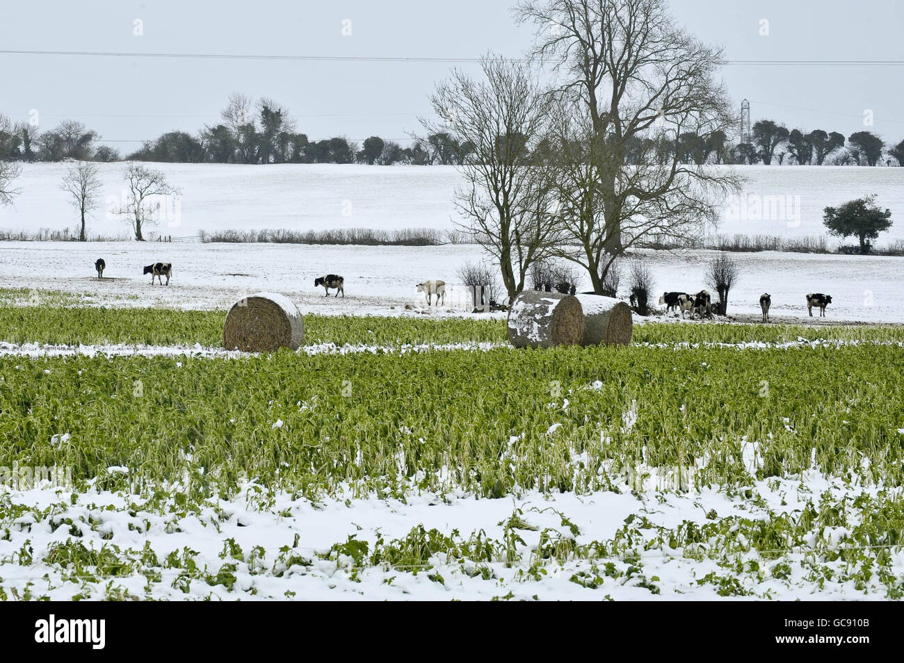 Météo d'hiver jan 10e Banque D'Images