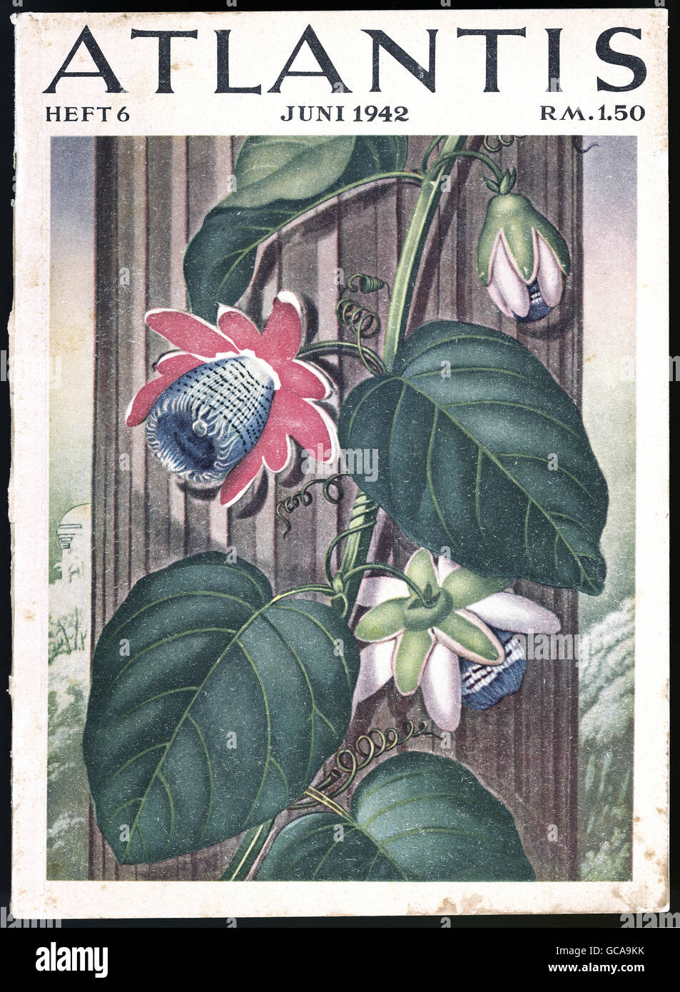 Presse / médias, revues / magazines, 'Atlantis', 14ème volume, numéro 6, Berlin, juin 1942, titre, fleur de passion, détail de la peinture 'Temple de la nature' par Robert John Thornton (1768 - 1837), , droits additionnels-Clearences-non disponible Banque D'Images