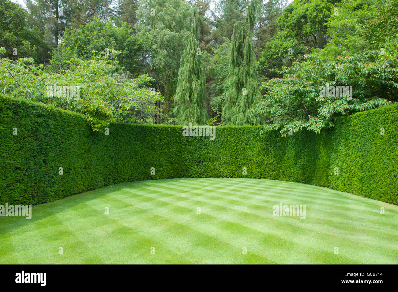 Des pelouses et des haies à l'entrée de RHS Rosemoor dans le Devon Banque D'Images