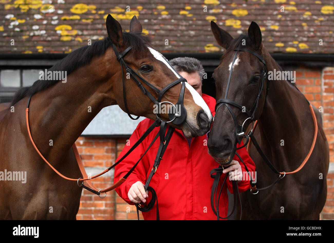 Kauto Star (à gauche) avec Denman et l'entraîneur Paul Nicholls lors de la visite de l'écurie à Manor Farm, Ditcheat, Somerset. Banque D'Images