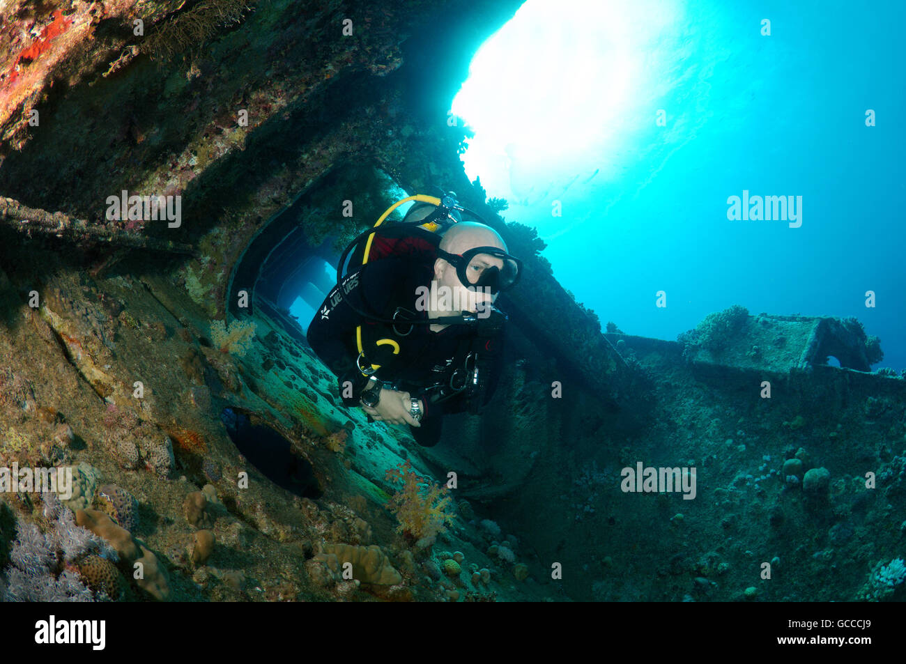 Mer Rouge, Egypte, Egypte. 3e Mar, 2016. Scuba Diver mâle à l'intérieur de l'épave du Giannis D, Mer Rouge, Egypte © Andrey Nekrasov/ZUMA/ZUMAPRESS.com/Alamy fil Live News Banque D'Images