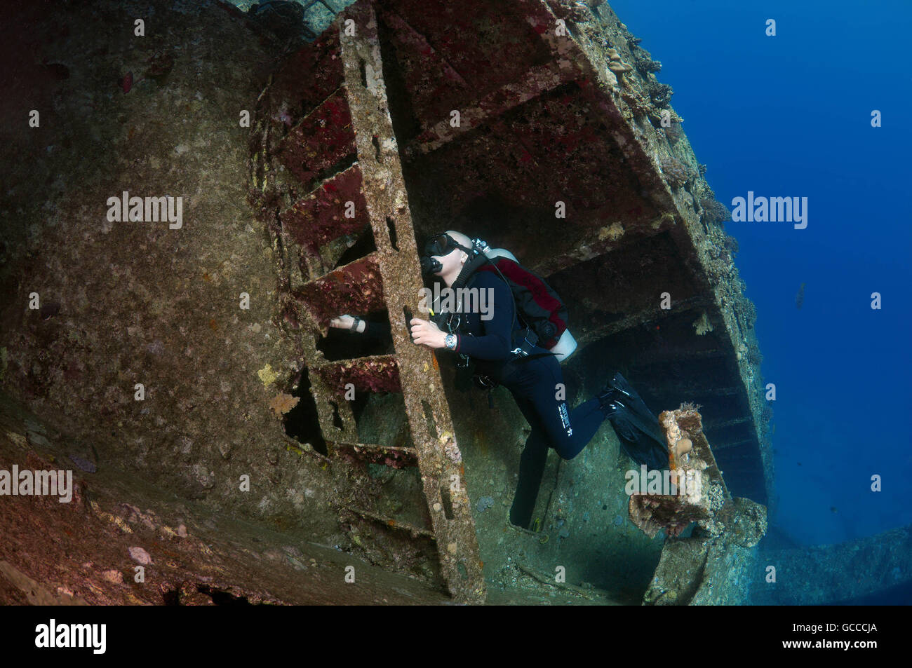 Mer Rouge, Egypte, Egypte. 3e Mar, 2016. Scuba Diver mâle à l'intérieur de l'épave du Giannis D, Mer Rouge, Egypte © Andrey Nekrasov/ZUMA/ZUMAPRESS.com/Alamy fil Live News Banque D'Images