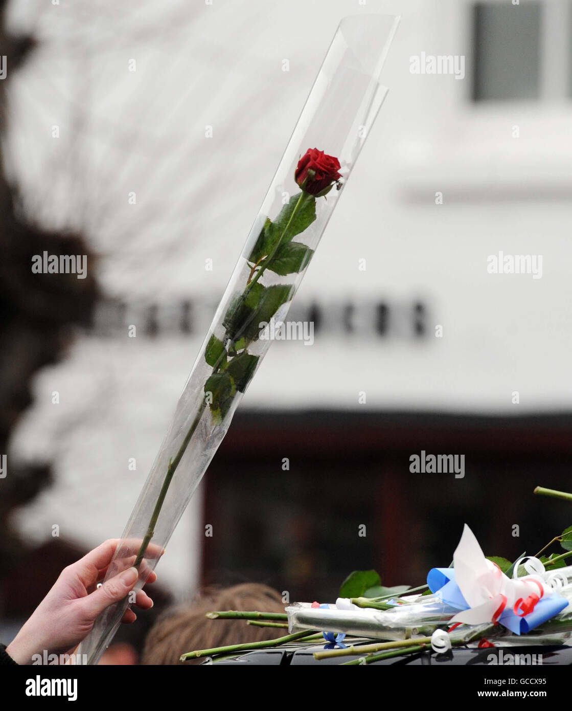 Un pleurant place une rose rouge sur un corbillard alors que les cercueils du caporal Scott Hardy et du soldat James Grigg passent par Wootton Bassett après leur rapatriement à la RAF Lyneham, aujourd'hui. Banque D'Images